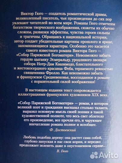 Книга собор парижской богоматери виктор гюго