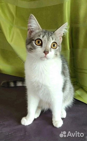 Малышки сестрички