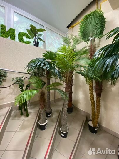 Пальмы искусственные 120см, 180см