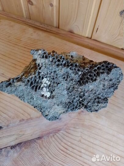 Окаменелые кораллы