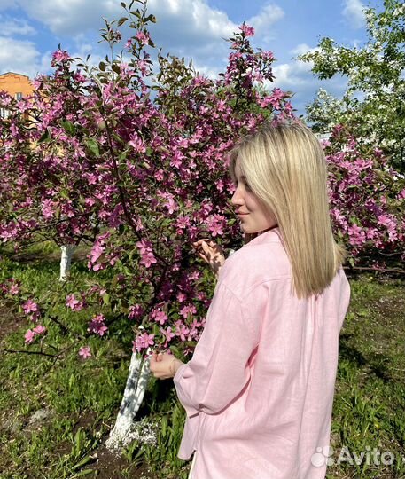 Репетитор по географии и экономик онлайн