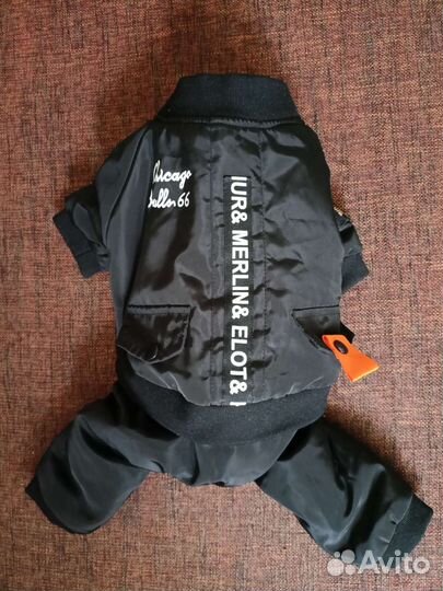 Одежда для собак мелких пород