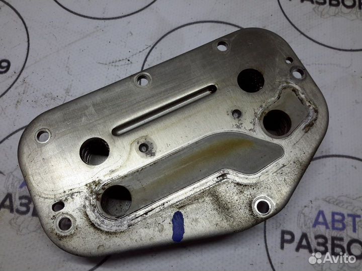 Радиатор масляный Chevrolet Aveo T300