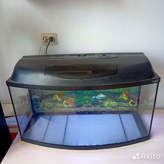 Аквариум