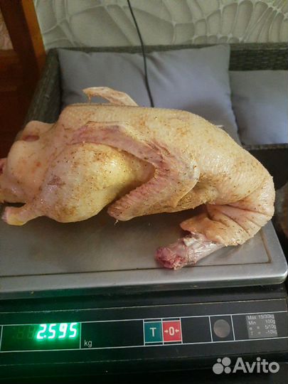 Мясо домашней птицы