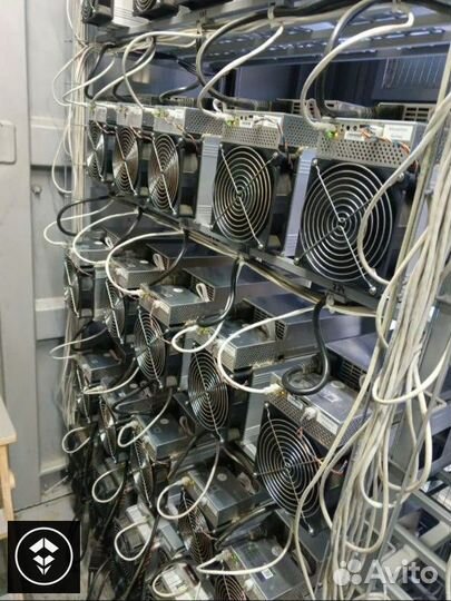 Whatsminer M50