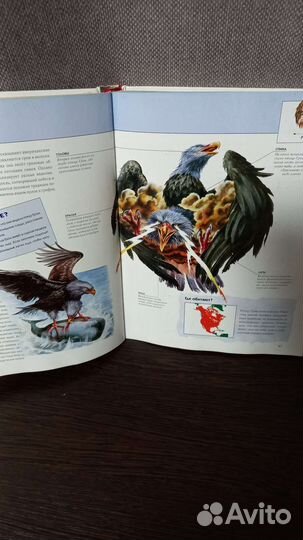 Энциклопедия Фантастические существа