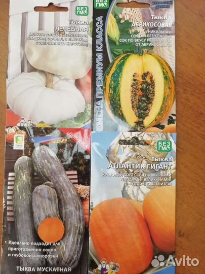 Рассада тыкв, кабачков, патиссон, баклажан