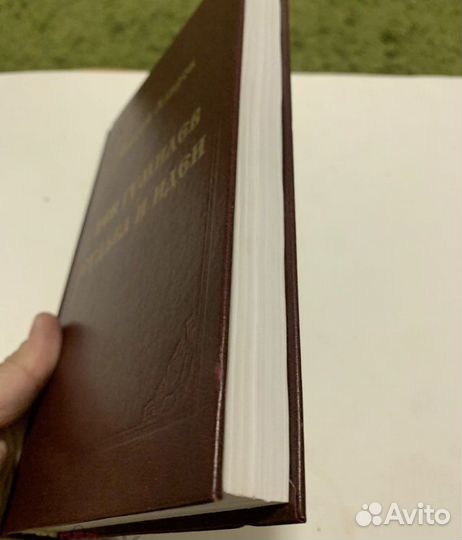 Лев Гумилев. Судьба и идеи 2000