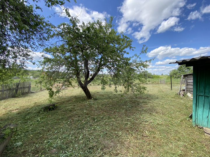 Дом 28,9 м² на участке 33,5 сот.