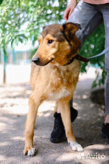 Разве он заслужил всю жизнь просидеть в клетке