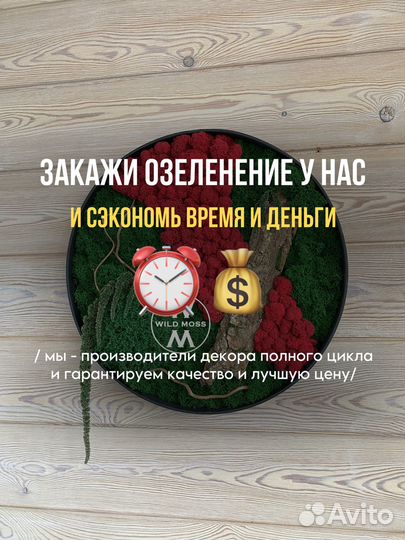 Панно картина из зеленого стабилизированного мха