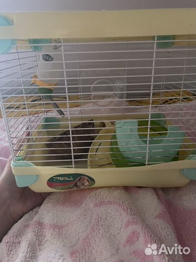 Клетка для грызунов маленькая