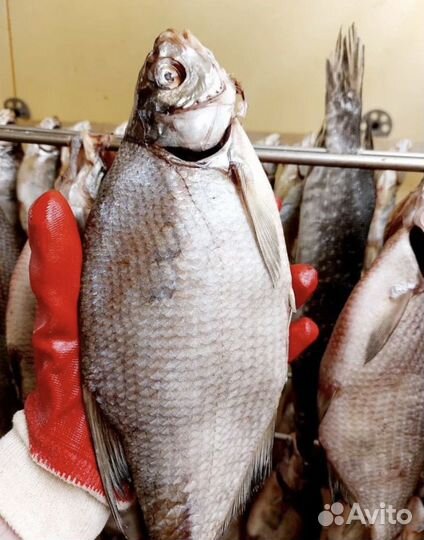 Вяленый лещ