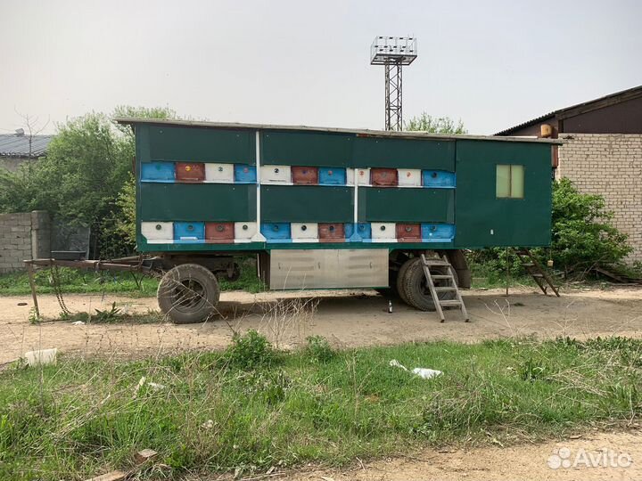 Пчелопавильон