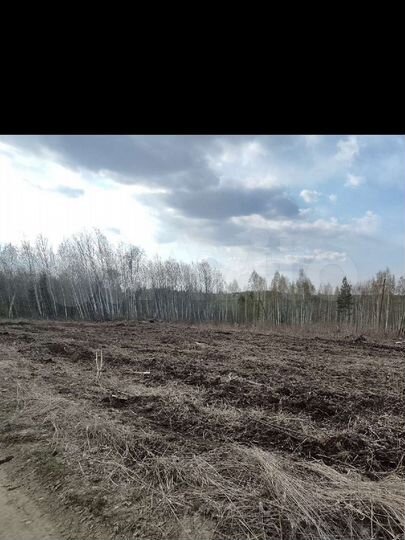 Участок 8 сот. (СНТ, ДНП)
