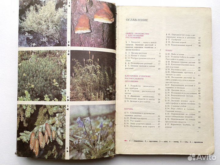 Биология 6-7 класс Корчагина