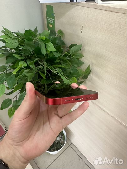 iPhone 13, 256 ГБ
