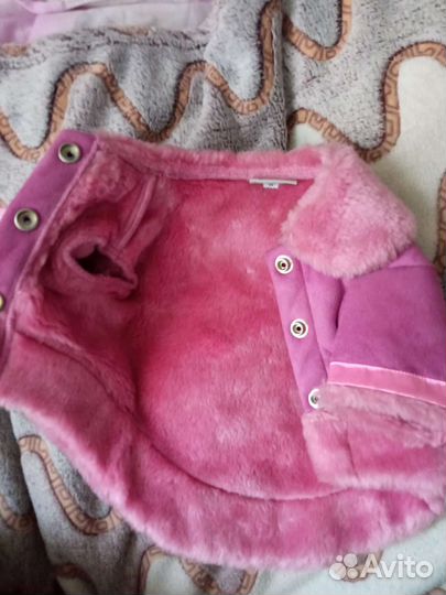 Дубленка собачья + демисезонные сапожки