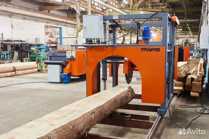 Дисковая пилорама Триумф 1П-550