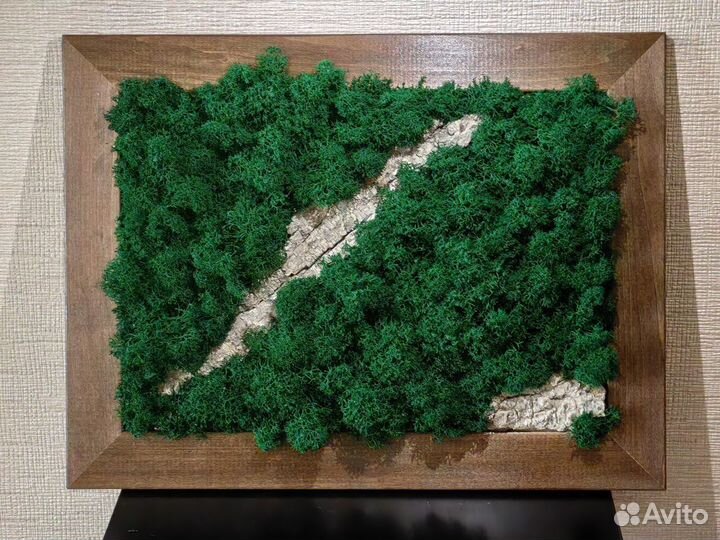 Картина из стабилизированного мха