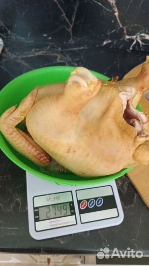 Куры бройлеры