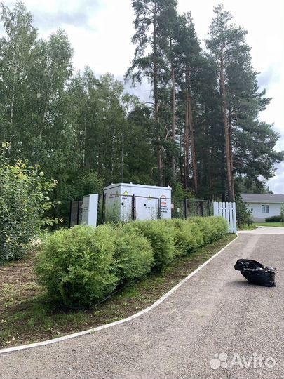 Садовник озеленитель