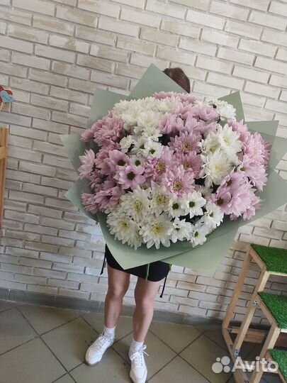 Цветы букет хризантем