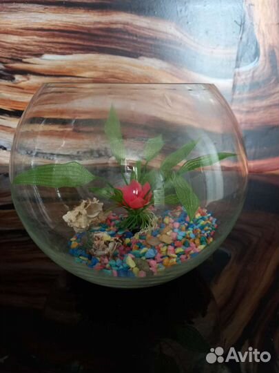 Аквариум