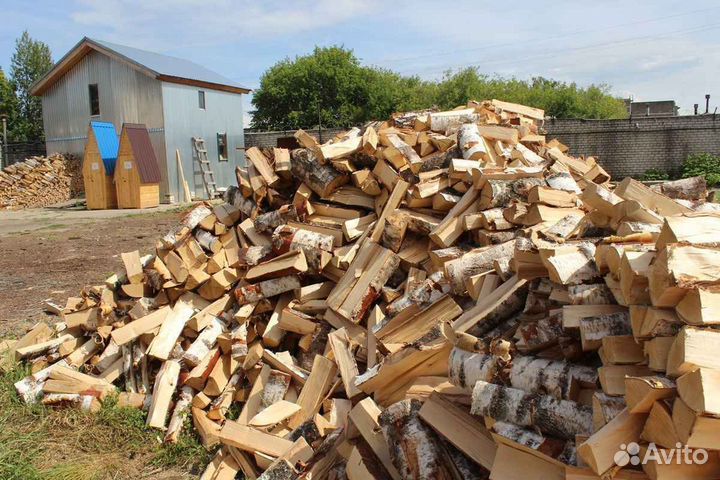 Дрова береза