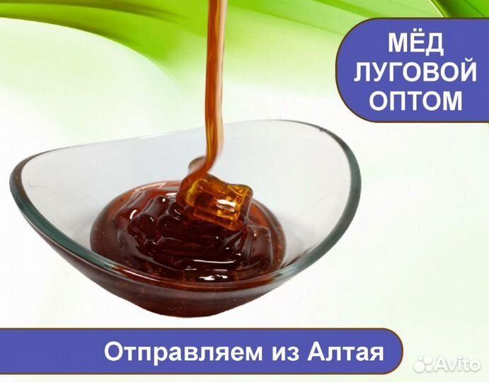 Алтайский мёд 2023 г (опт.)