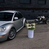 Volkswagen New Beetle 2.0 MT, 1998, 200 000 км, с пробегом, цена 500 000 руб.