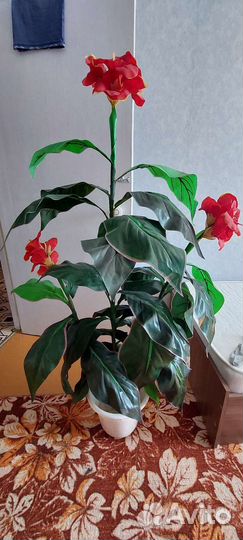 Комнатный цветок искуственный