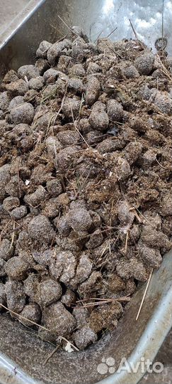 Конский навоз (свежий без подстилки)