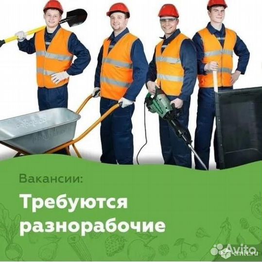 Подсобный рабочий (Разнорабочий)