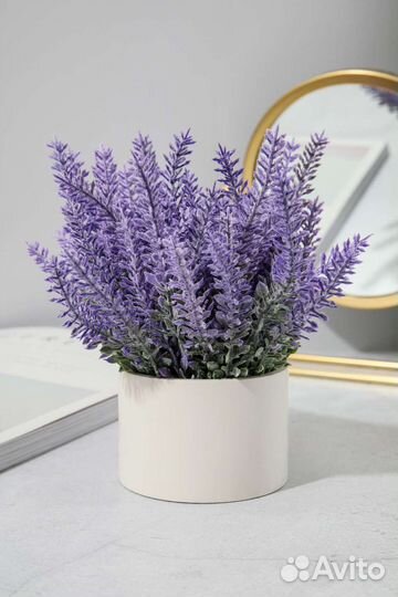 Искусственная лаванда в гипсовом горшке