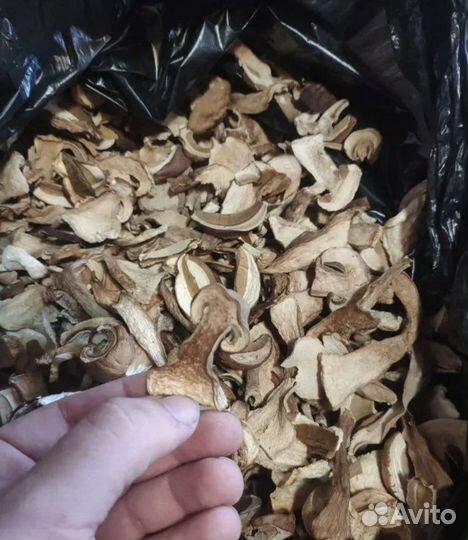 Ягоды и грибы