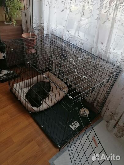 Вольер для собак в квартиру бу