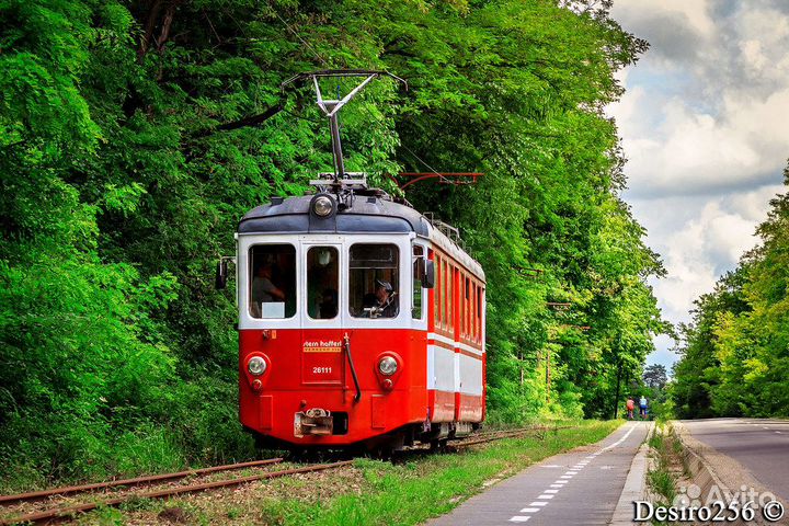 Кондуктор трамвай проживание