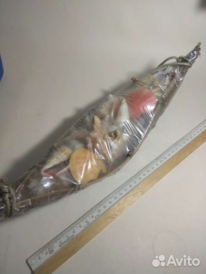 Ракушки морские звёзды кораллы