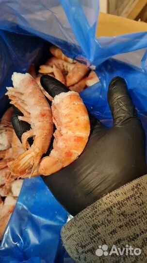 Лангустины б/г