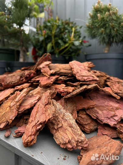 Мульча кора лиственницы только опт