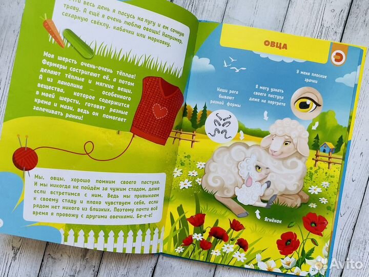 Энциклопедия в дополненной реальности