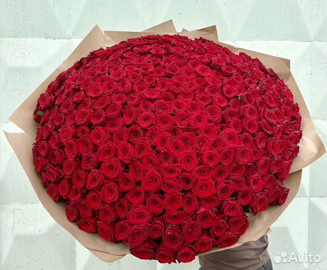 101 роза букет доставка