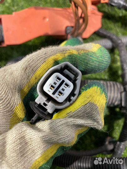 Проводка двигателя Lexus NX рест. 2020