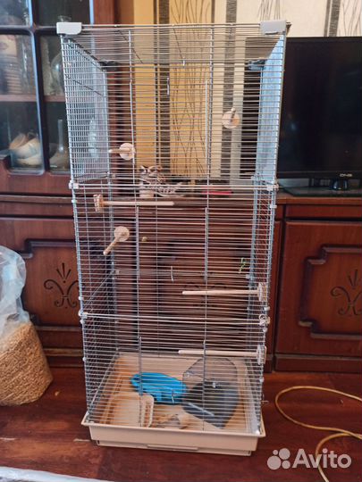 Клетка для попугая бу