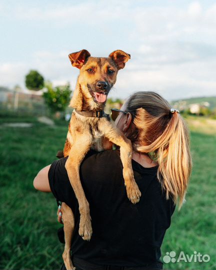Мальчик Боня ищет дом
