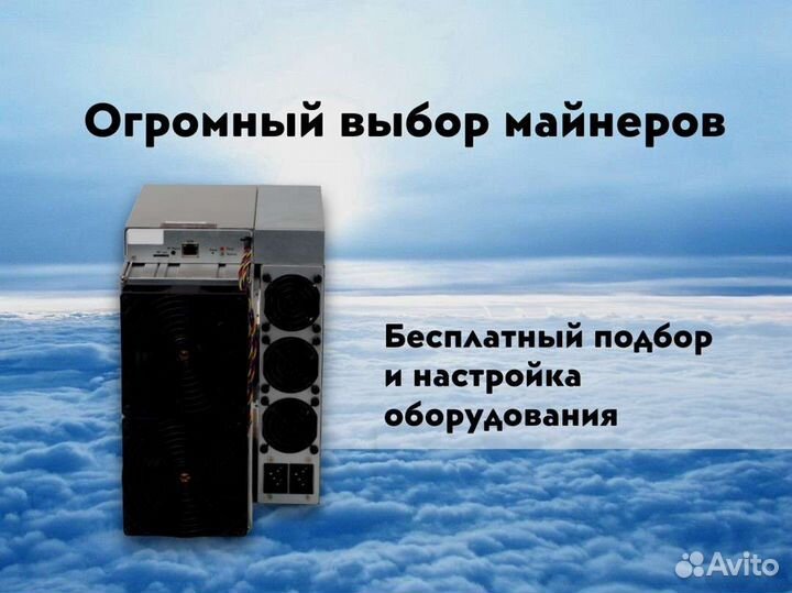 Antmine l7 8800