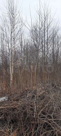 Участок 20 сот. (СНТ, ДНП)