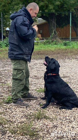 Инструктор кинолог- зоопсихолог